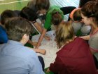 Projektas „Olimpinė karta“